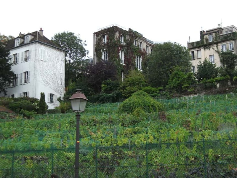 Paris: Montmartre Private Walking Tour - Meeting at Metro Blanche and getting your bearings