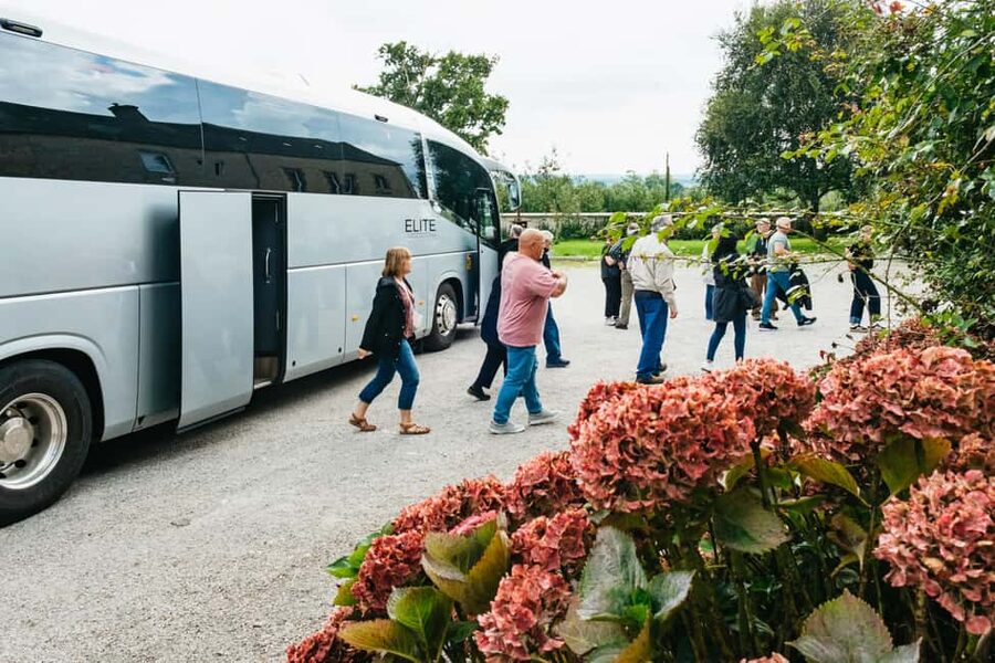 Paris: Normandy D-Day Sites Guided Day Trip with Lunch - A long coach day with meaningful stops, not a random checklist