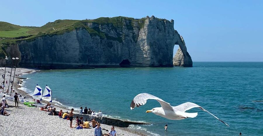 Paris: Normandy Rouen, Honfleur and Etretat Small-Group Tour - Étretat Chalk Cliffs: The Needle and the Best View Time