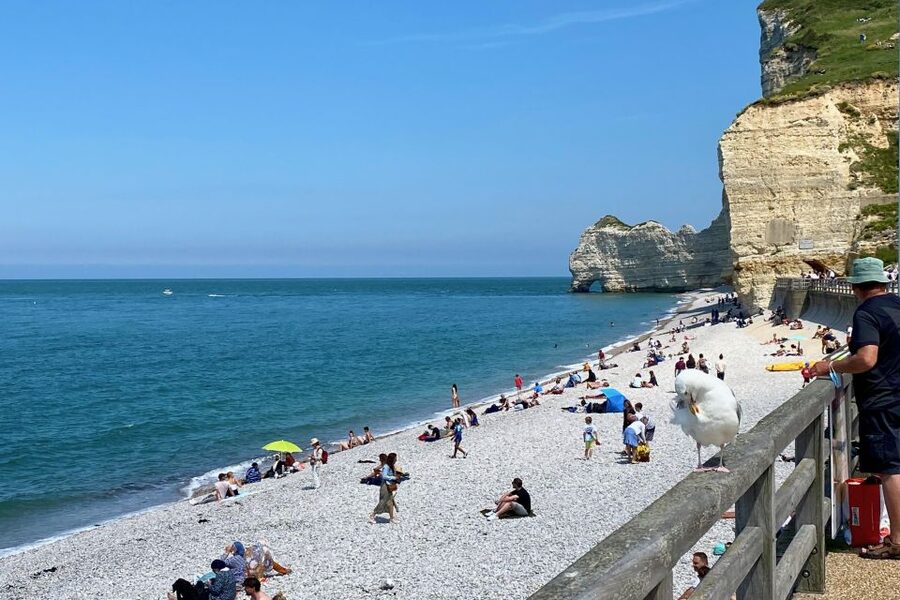 Paris: Normandy Rouen, Honfleur and Etretat Small-Group Tour - Small-Group Rhythm and Mercedes Comfort: Why It Feels Different