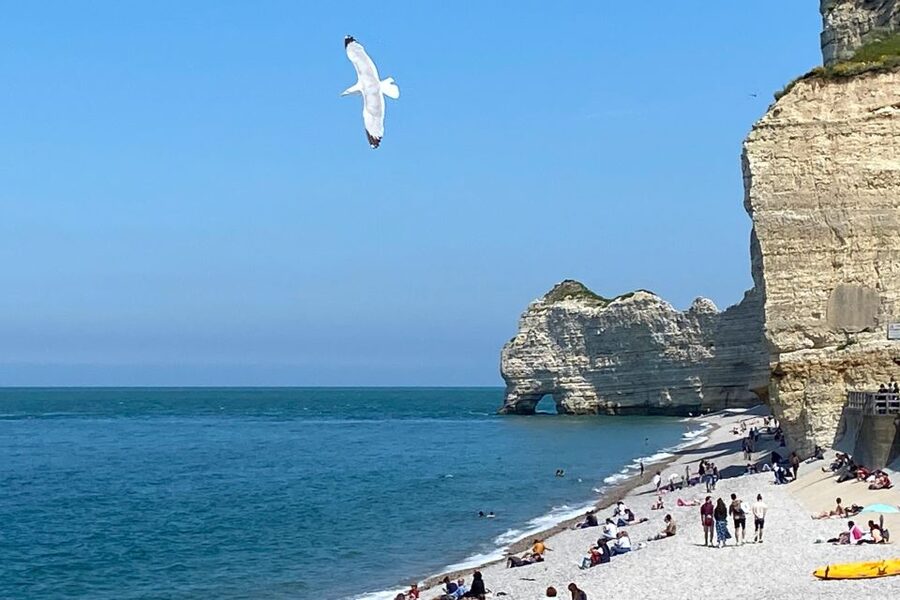 Paris: Normandy Rouen, Honfleur and Etretat Small-Group Tour - Who This Tour Fits Best, and Who Should Rethink It