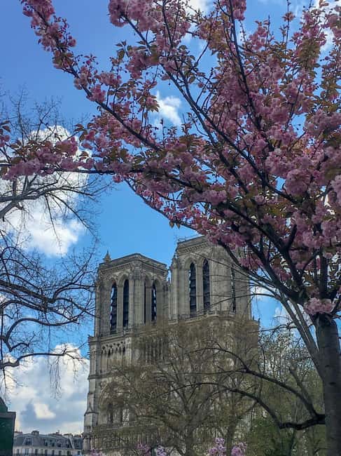 Paris: Notre Dame Exteriors and Ile de la Cité Walking Tour - Notre-Dame Cathedral Visit: Free Entry and What to Focus On