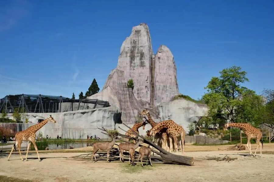 Paris: Paris Zoological Park Entrance Ticket - Biozones are the real itinerary, Europe to the Amazon