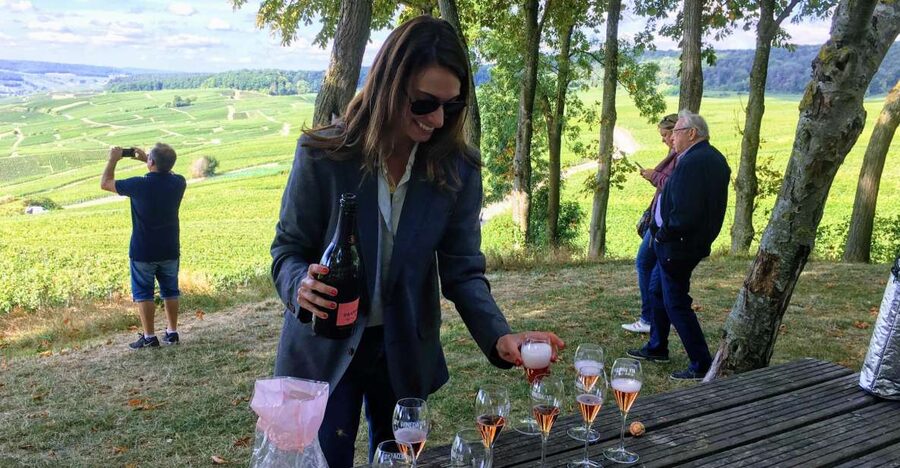 Paris: Private Day Trip to Champagne with 8 Tastings & Lunch - A private Champagne day trip from Paris, built for comparison