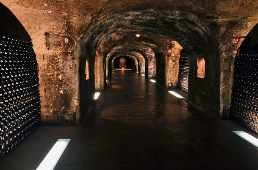 Paris: Private Day Trip to Champagne with 8 Tastings & Lunch - Lunch paired with Champagne, plus local flavors that make sense