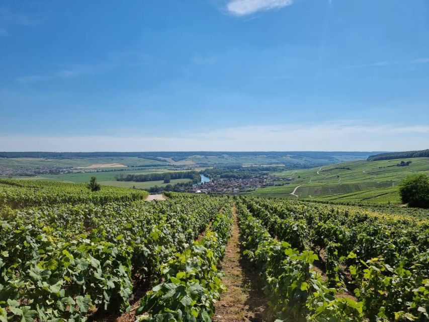 Paris: Private Epernay Trip with Champagne Vineyard Tastings - Épernay start: Moët & Chandon style touring, tastings, and a real stroll