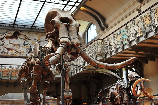 Paris Private Family Tour - Highlights & the Best Museum for Kids - Notre-Dame de Paris Area: A Key Landmark Without the Ticket Stress