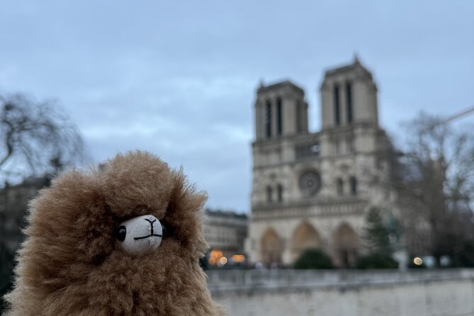 Paris Private Guided Walking Tour with Notre-Dame Visit - Paris Private Guided Walking Tour with Notre-Dame Visit: the real vibe