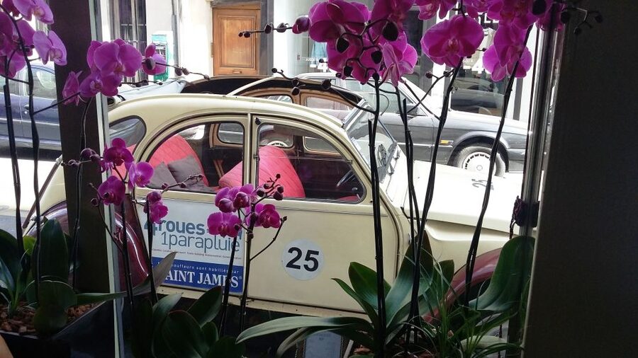 Paris: Private little-known places tour in Citroën 2CV 2h - The real headline is the driver, like Martin and Renaud