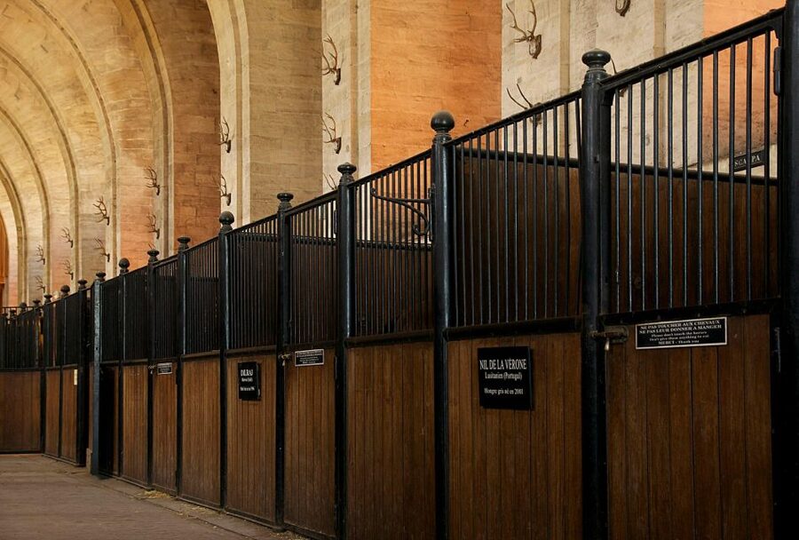 Paris: Private Tour of Domaine de Chantilly Ticket&Transfer - Who This Tour Fits Best (and Who Should Rethink It)