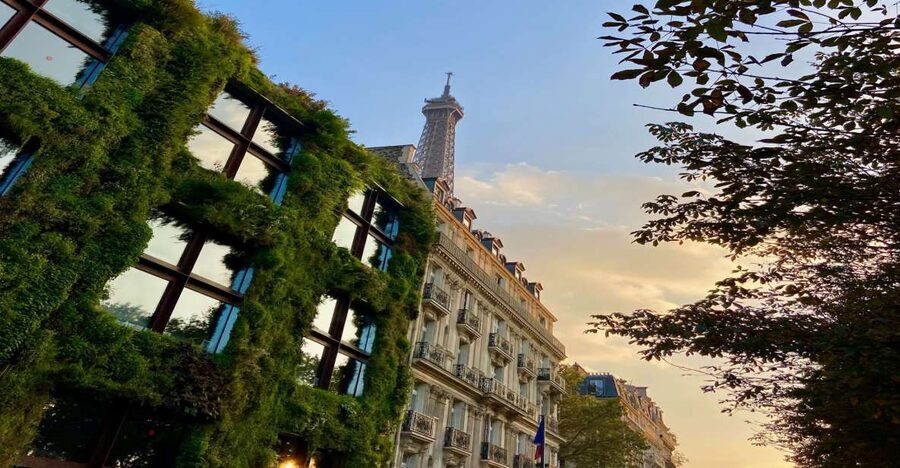 Paris: Quai Branly Museum Ticket & Optional Seine Cruise - The Patrick Blanc Green Wall and the Outdoor Reset