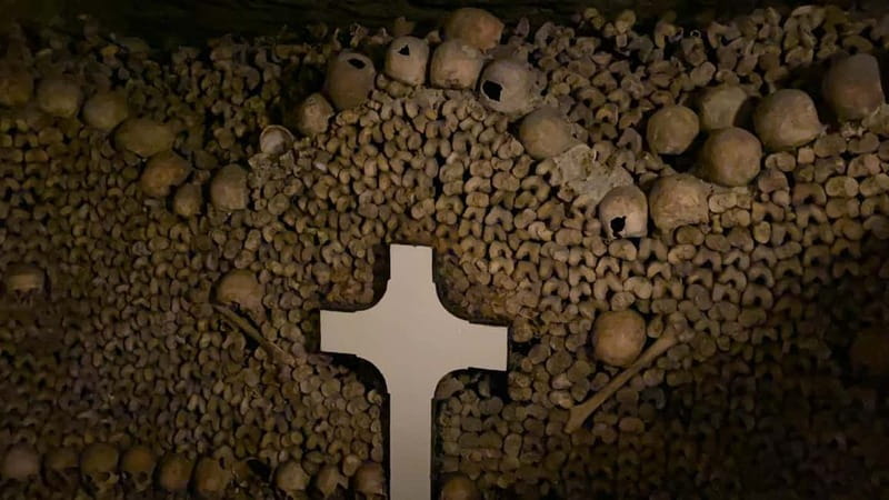 Paris: Small-Group Catacombs Tour with Skip-the-Line Entry - What the tour feels like in real time (pace, tunnels, and comfort)