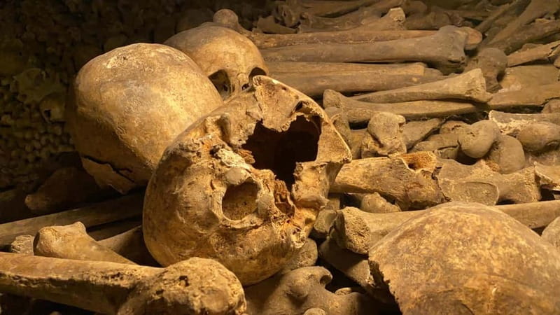 Paris: Small-Group Catacombs Tour with Skip-the-Line Entry - Skip-the-line entry and a 6-person group: where the value really is