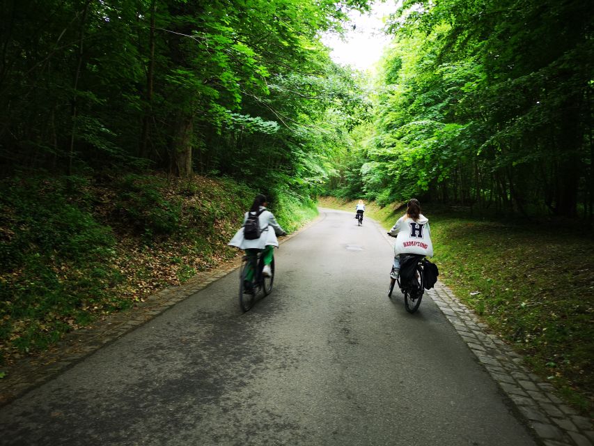 Paris: Versailles Palace and Queen Hamlet E-Bike Tour - Trianon shortcuts, then Marie-Antoinette’s Hamlet