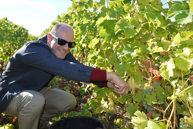 Paris Wine Day Tours exclusive Champagne tour incl. 3 visits - 7:00 am Departure From Porte dOrléans, and Why Small Groups Matter