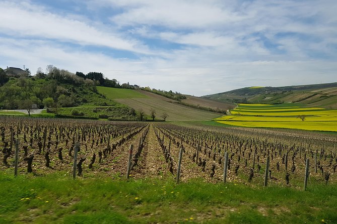 Paris Wine Day Tours exclusive wine tour in the Sancerre area - Key Points You Should Know Before You Go