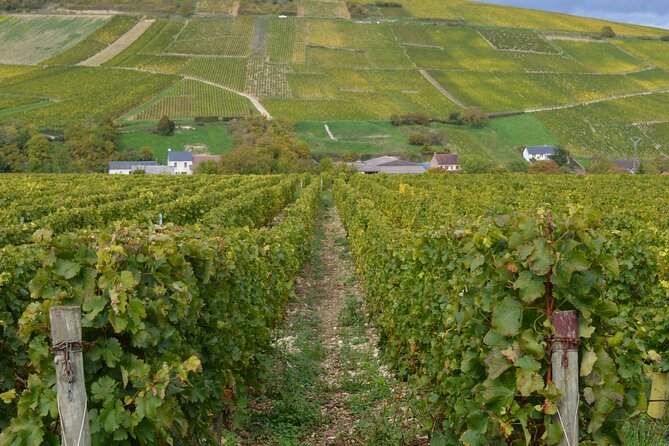 Paris Wine Day Tours exclusive wine tour in the Sancerre area - Stop 1: Sancerre Village, Two Winemakers, and a Walk in the Vines