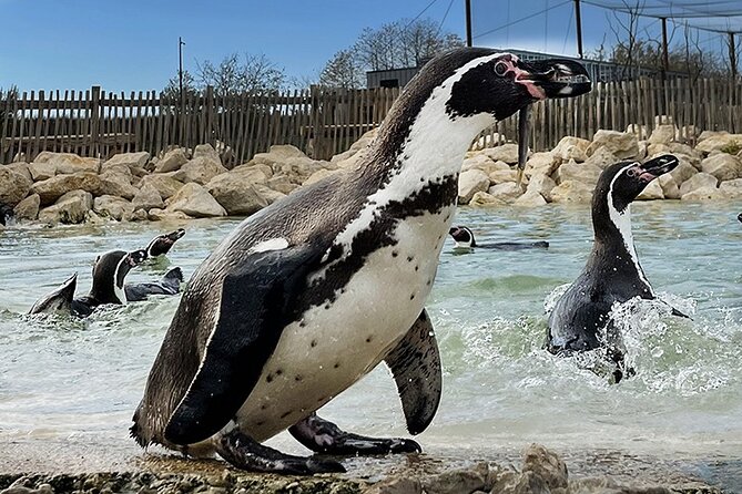 Parrot World Immersive Wildlife Park Entry Ticket next to Paris - A tropical South America feel, without the long flight