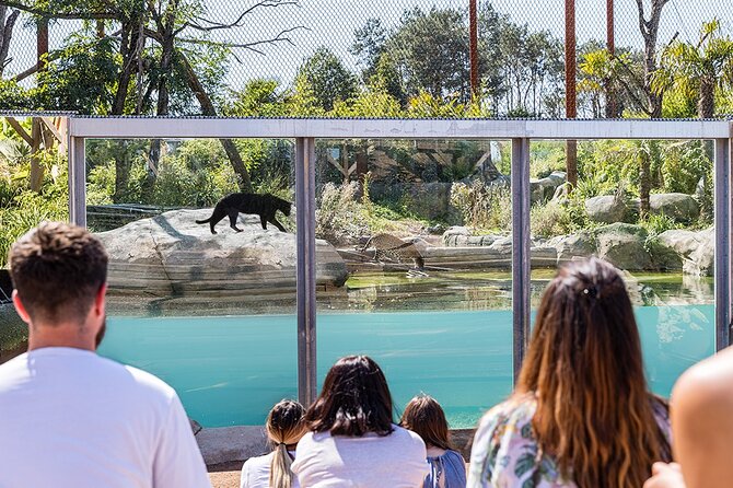 Parrot World Immersive Wildlife Park Entry Ticket next to Paris - Animal keeper learning sessions, plus a giant playground and picnic area
