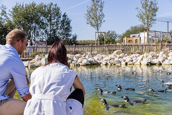 Parrot World Immersive Wildlife Park Entry Ticket next to Paris - Food, shade, and weather: plan for the day you get