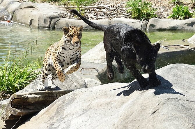 Parrot World Immersive Wildlife Park Entry Ticket next to Paris - Tickets, value, and when to book ahead