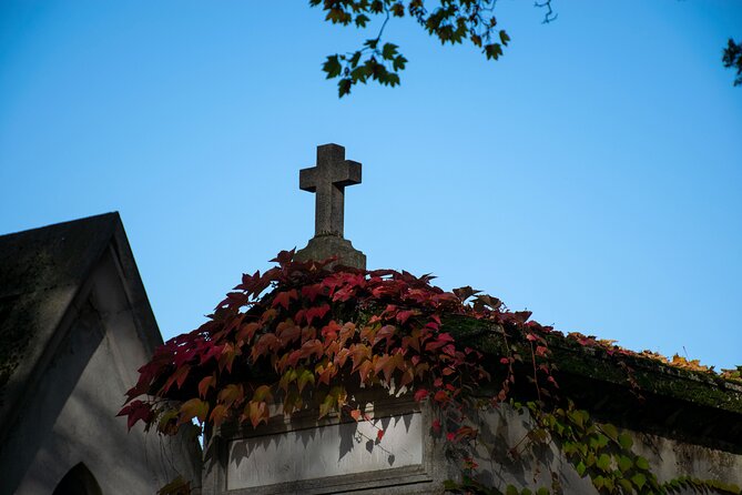 Père Lachaise Cemetery Tour: A Stroll Through Immortal History - The walk, the timing, and what the route teaches you