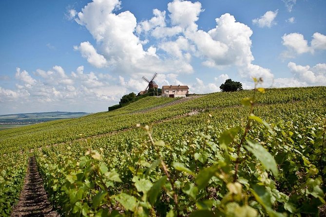 Private 10-hour round transfer to Champagne Epernay from Paris. Best offer! - Price, Group Size, and Why This Can Be Good Value
