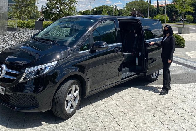 Private 4-hour city tour of Paris with driver and official guide - Champs-Elysees, Place de la Concorde, and Grand Palais passes