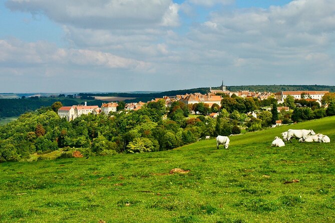 Private Burgundy 3 Domaines Chateau Pommard Chablis 15 Wines Trip - Price and Value: Is $668.28 Per Person Reasonable?