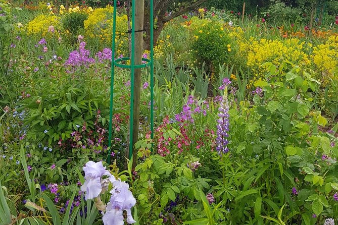 Private Car Trip to Giverny Garden from Paris - Stop 2 at Clos Normand: making 2 hours in the garden count