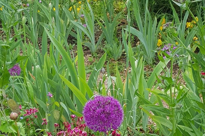 Private Car Trip to Giverny Garden from Paris - Car comfort, prompt pickup, and driver communication