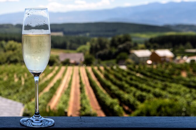 Private Champagne Day Trip - Two Vineyards of Reims & Lunch - Reims Champagne country, minus the guesswork