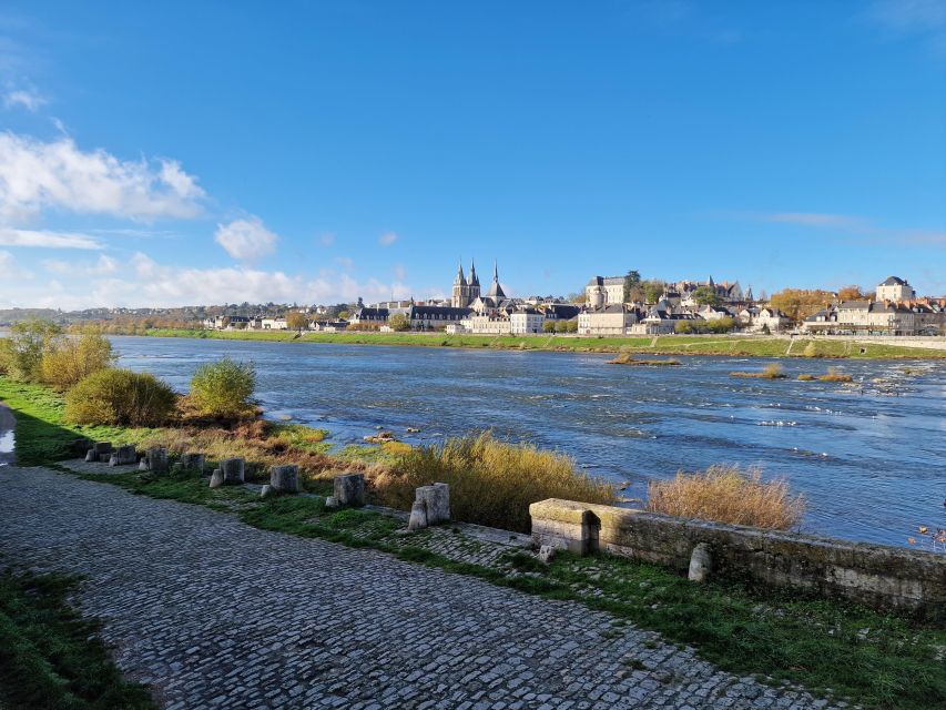 Private Day Tour to Loire Valley Castles & Wines from Paris - The second winery experience: Loire whites, plus reds and rosé if available