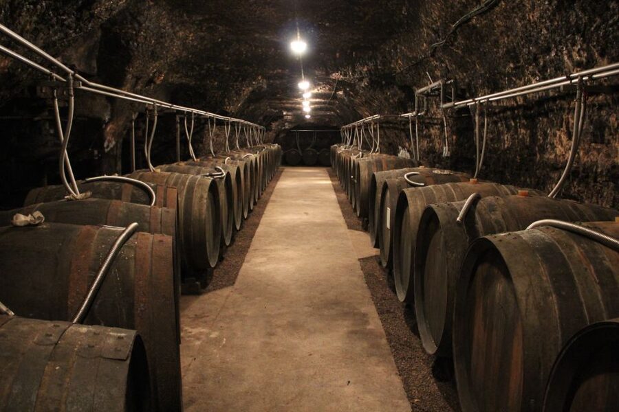 Private Day Tour to Loire Valley Castles & Wines from Paris - Price and value: when $1,817 for a private day makes sense
