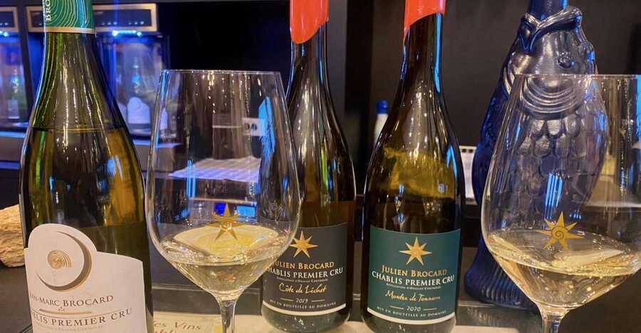 Private Exquisite Red & White Burgundy Wines Trip from Paris - Key Points You Should Know Before You Go