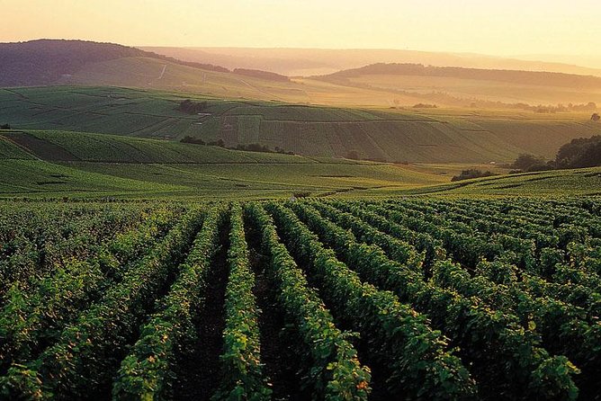 Private Full-Day Tour of Champagne Region - Key highlights worth planning for