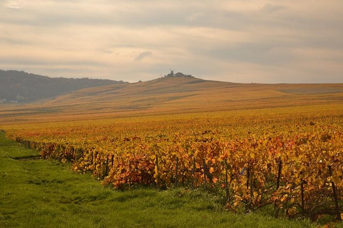 Private Full-Day Tour of Champagne Region - Reims Cathedral: crowned-kings glamour with WWI scars