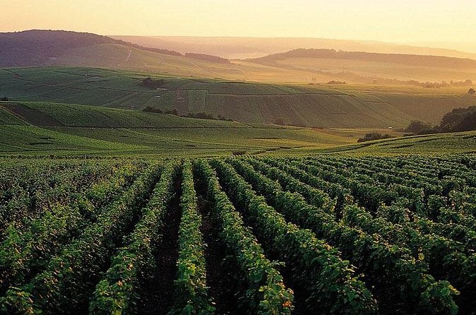 Private Full-Day Tour of Champagne Region - Lunch window: plan for real food, not just snacks