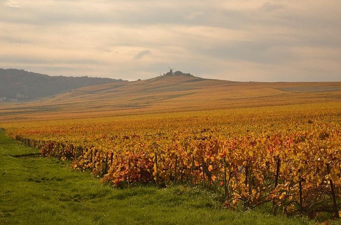 Private Full-Day Tour of Champagne Region - Hautvillers in the Montagne de Reims: village charm and Dom Pérignon