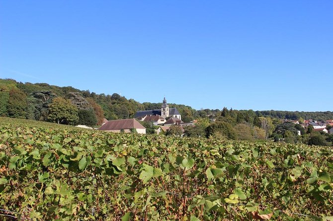 Private Full-Day Tour of Champagne Region - Price and value: what you get for $2,599.99 per group