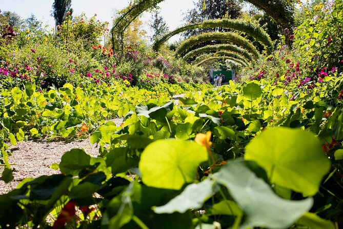 Private Giverny Monet’s House & Gardens Half-Day Tour from Paris - Guided vs driver-led: deciding based on what you want to learn