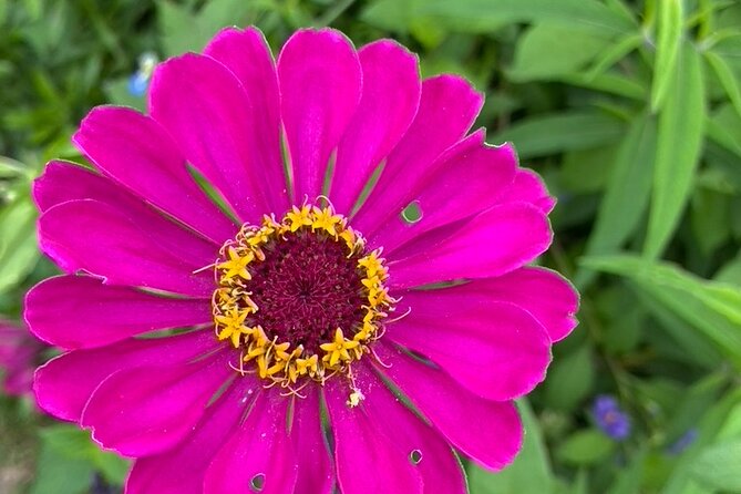 Private Giverny Roundtrip and Entrance Ticket from Paris - Price and Value: Is It Worth Paying for Private?