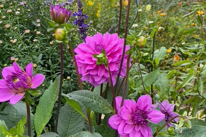 Private Giverny Roundtrip and Entrance Ticket from Paris - Final Call: Should You Book It?