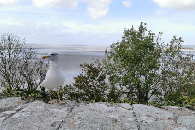 Private Guided Day Tour of Mont St-Michel from Paris - The ramparts and fortifications, reading the Mont’s survival story