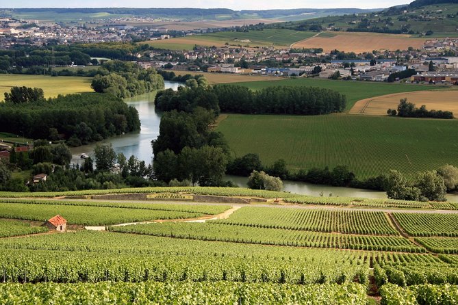 Private Guided Tour in Champagne from Paris with Moet&Chandon visit. - Paris to Champagne in a private Mercedes, with a guide who keeps the day on track