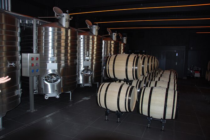 Private Guided Tour in Champagne from Paris with Moet&Chandon visit. - Practical tips to make your day run smoothly