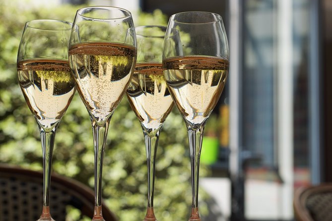 Private Guided Tour in Champagne from Paris with Moet&Chandon visit. - Vineyard promenade in Chatillon-sur-Marne: terroir and the vine’s seasonal logic