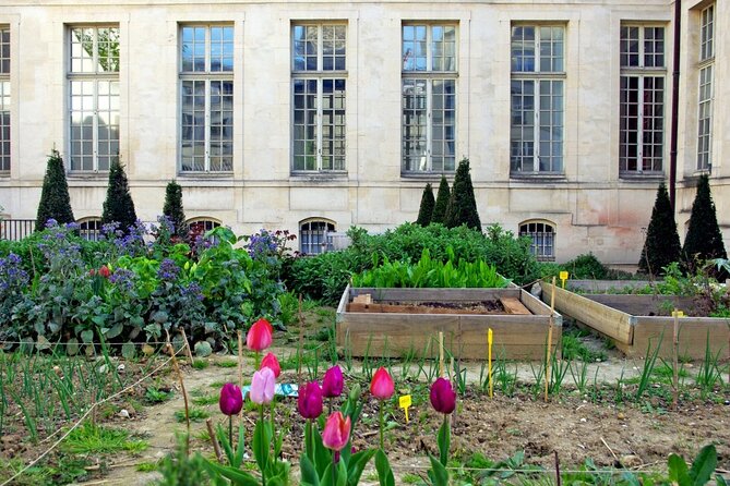 Private Half Day Historic Tour - Hôtel de Ville: Spotting the Shift Into Renaissance Paris