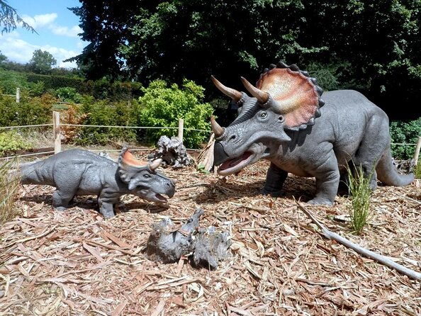 Private Return Transfer Thoiry Zoo Safari from Paris - Key highlights before you go
