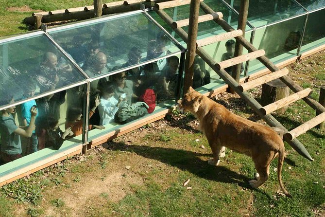 Private Return Transfer Thoiry Zoo Safari from Paris - The safari experience: open-air animals in a park setting